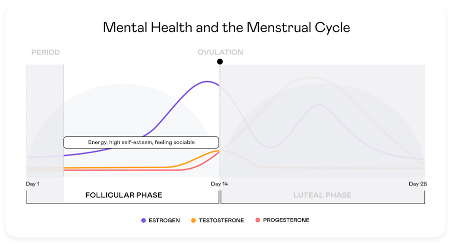 Tuune How does the menstrual cycle affect mental health